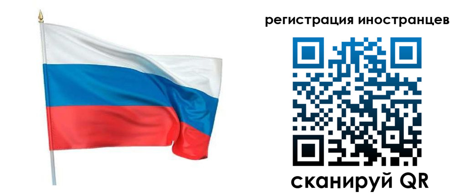 прописка 2025 в Губкинском